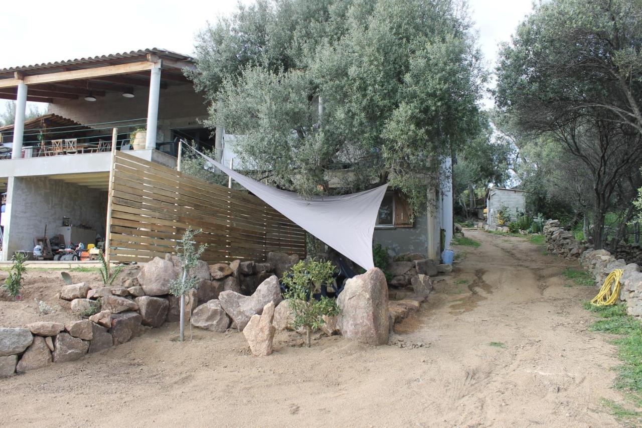 Les Hauts De Frisella Monacia-d'Aullene Εξωτερικό φωτογραφία
